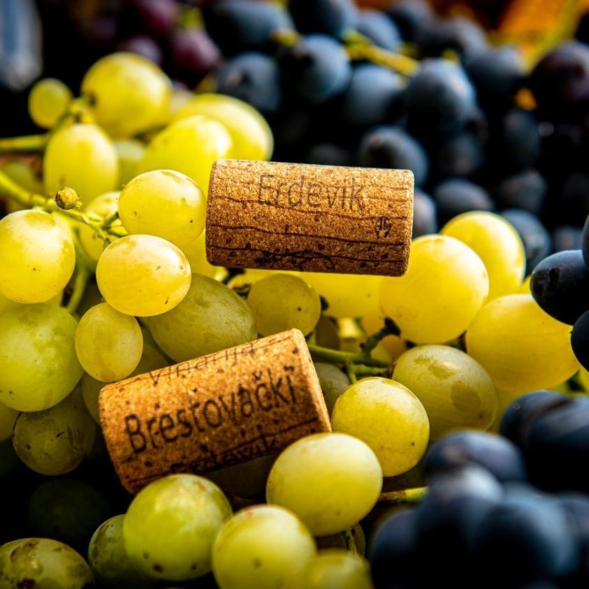 Vinograd